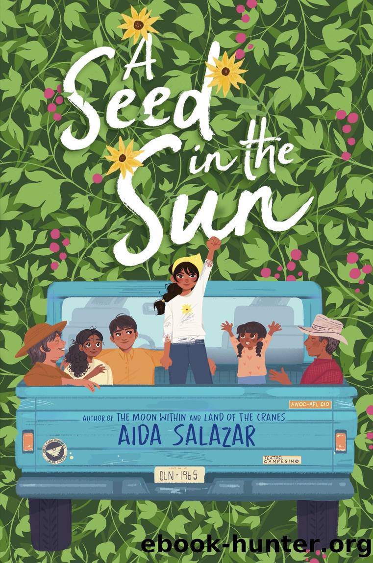 A Seed in the Sun by Aida Salazar
