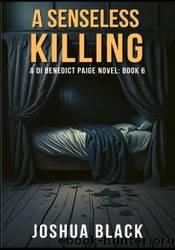 A Senseless Killing by Joshua Black