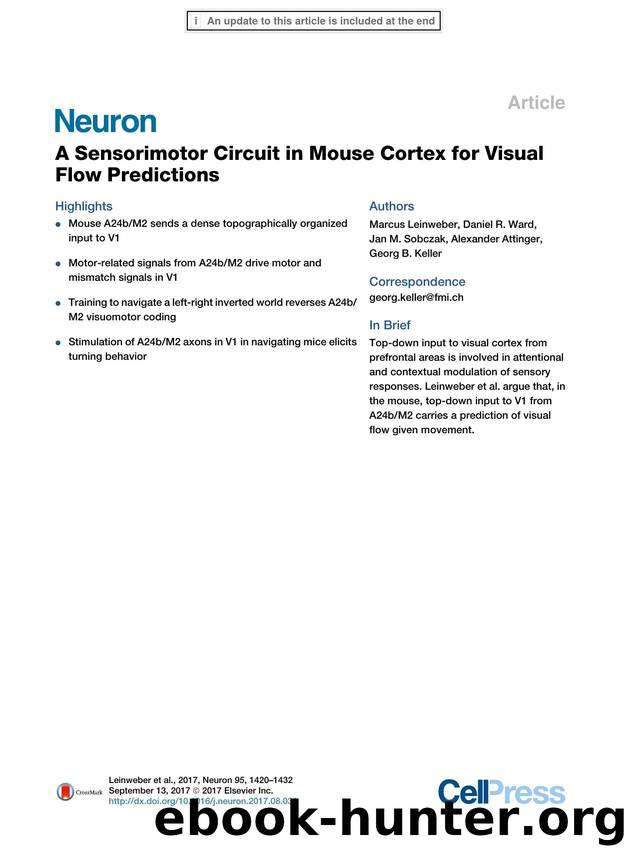 A Sensorimotor Circuit in Mouse Cortex for Visual Flow Predictions by Marcus Leinweber & Daniel R. Ward & Jan M. Sobczak & Alexander Attinger & Georg B. Keller