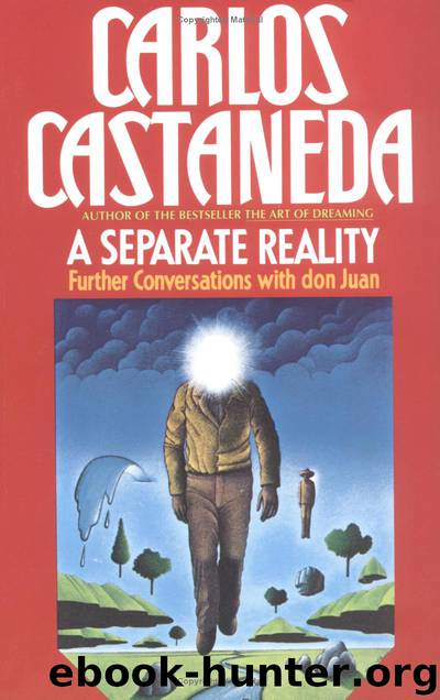 A Separate Reality: Further Conversations with don Juan by Carlos Castaneda