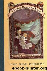 A Series of Unfortunate Events #3: The Wide Window by Lemony Snicket & Brett Helquist