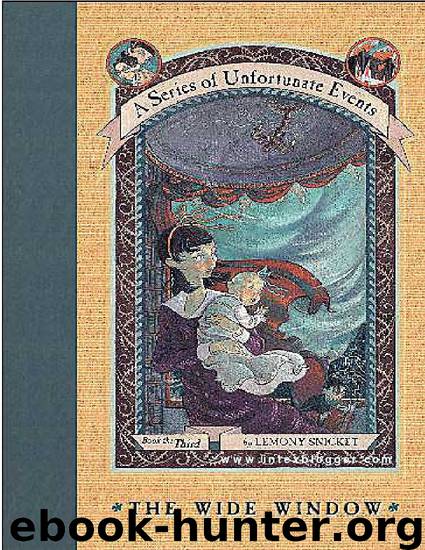 A Series of Unfortunate Events: The Wide Window by Lemony Snicket
