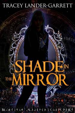 A Shade in the Mirror by Tracey Lander-Garrett
