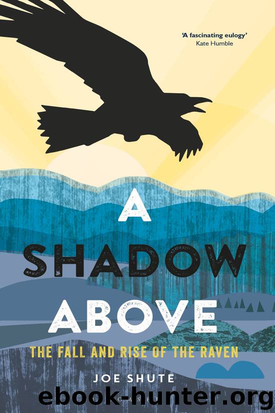 A Shadow Above by Joe Shute