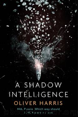 A Shadow Intelligence by Oliver Harris