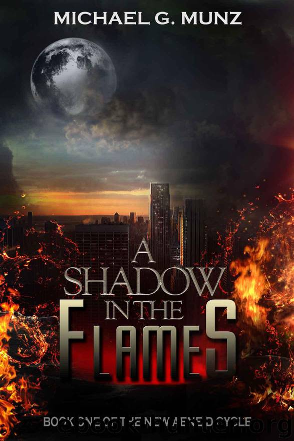 A Shadow in the Flames (The New Aeneid Cycle) by Munz Michael G