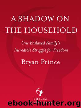 A Shadow on the Household by Bryan Prince