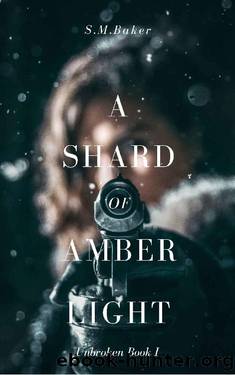 A Shard of Amber Light (Unbroken Book 1) by S.M. Baker