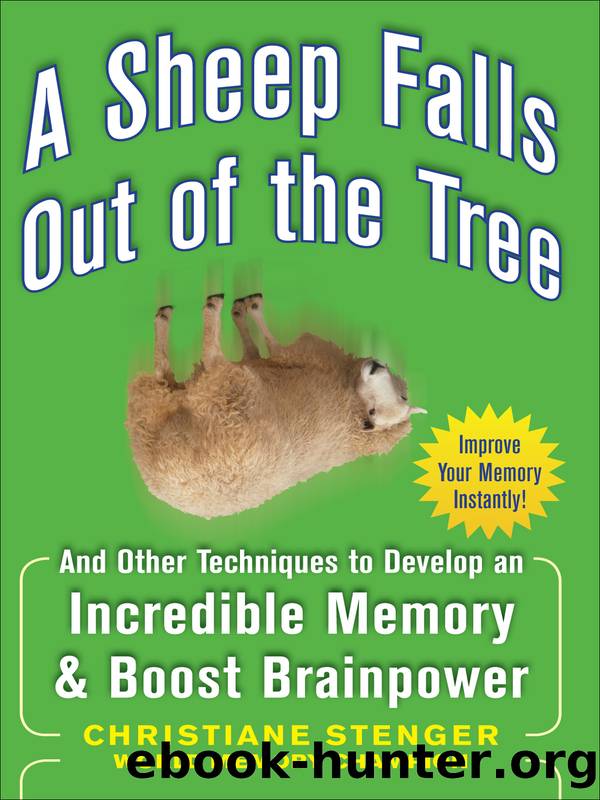 A Sheep Falls Out of the Tree by Christiane Stenger