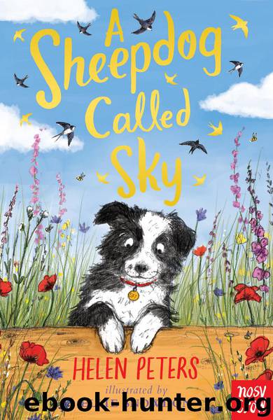 A Sheepdog Called Sky by Helen Peters