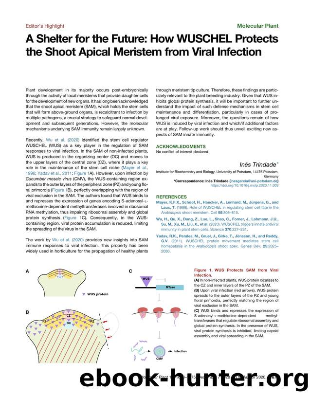 A Shelter for the Future: How WUSCHEL Protects the Shoot Apical Meristem from Viral Infection by Inês Trindade