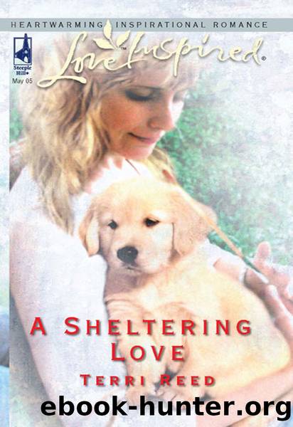 A Sheltering Love by Terri Reed