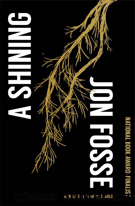 A Shining by Jon Fosse