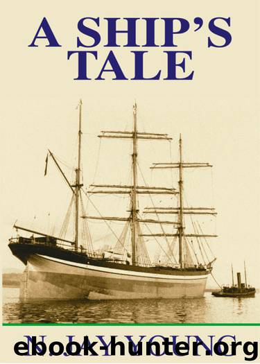 A Ship's Tale by N. Jay Young