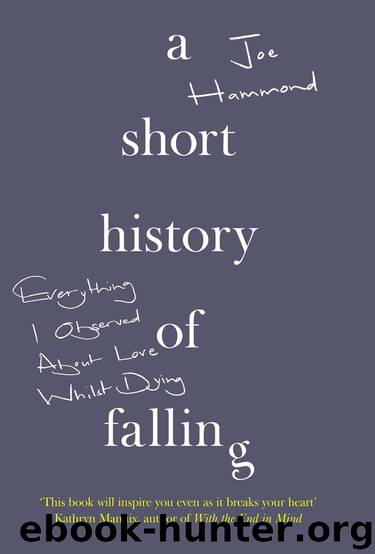 A Short History of Falling by Joe Hammond