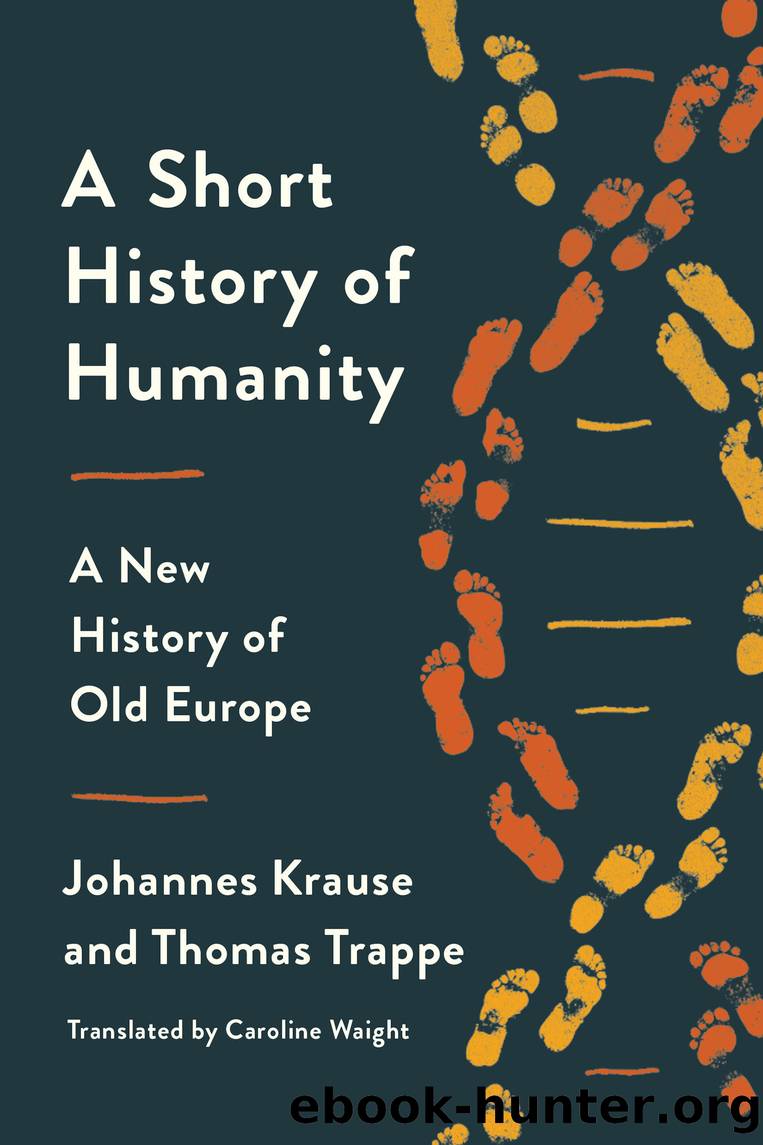 A Short History of Humanity by Johannes Krause & Thomas Trappe