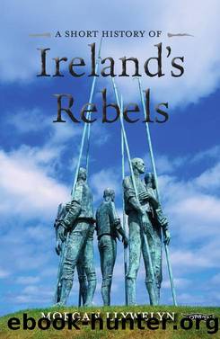 A Short History of Ireland's Rebels by Morgan Llywelyn