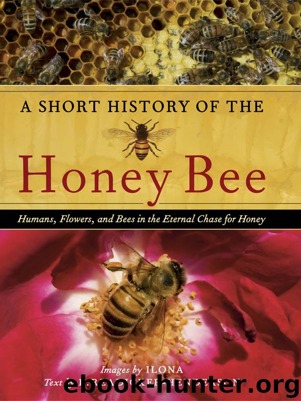 A Short History of the Honey Bee by E. Readicker-Henderson