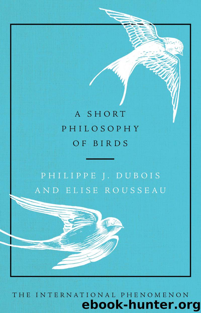 A Short Philosophy of Birds by Philippe J. Dubois