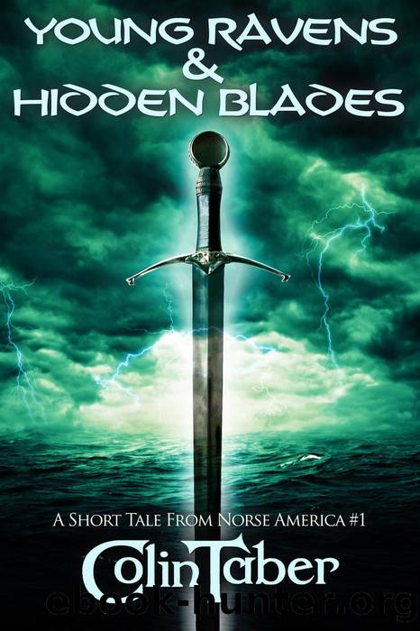 A Short Tale From Norse America by Colin Taber
