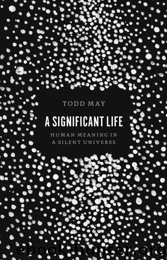 A Significant Life by Todd May