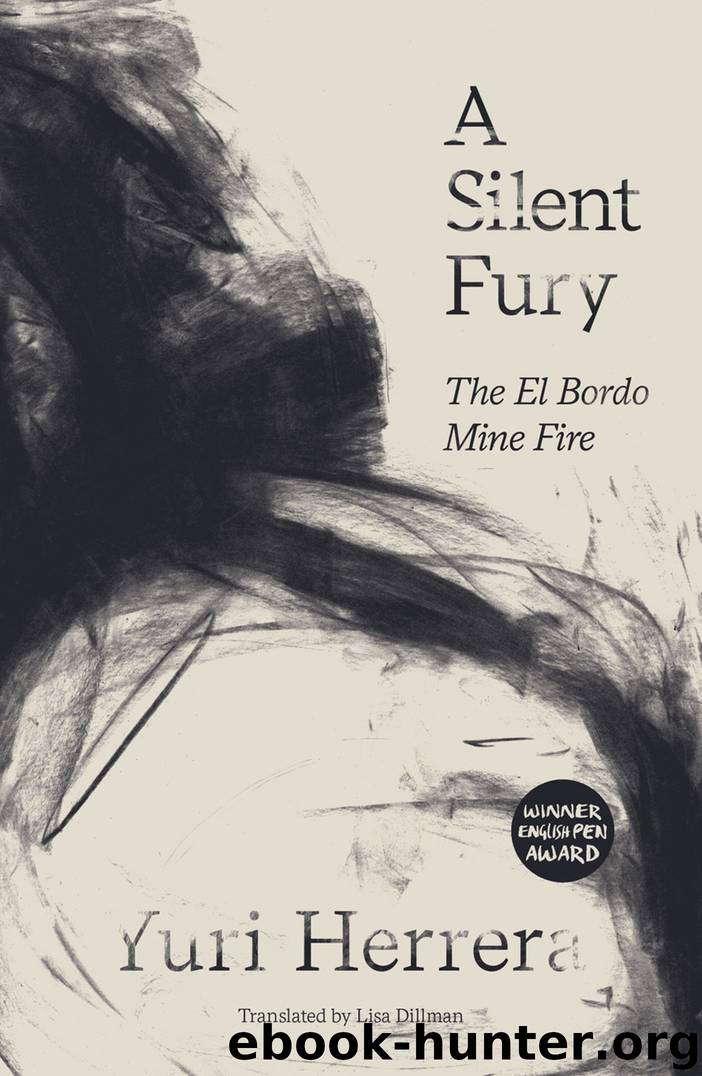 A Silent Fury by Yuri Herrera