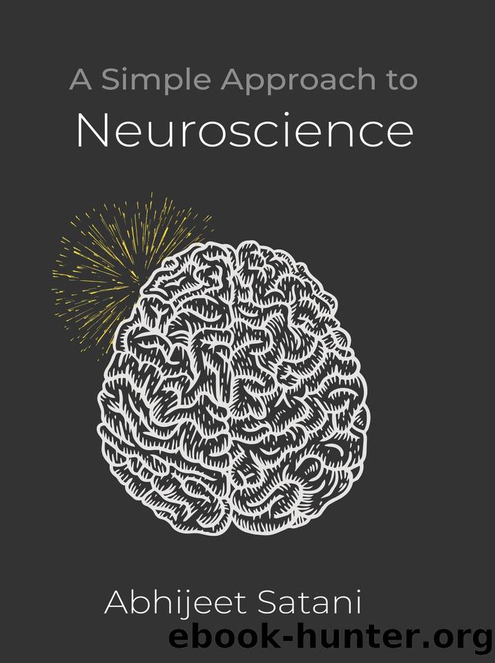 A Simple Approach to Neuroscience by Satani Abhijeet