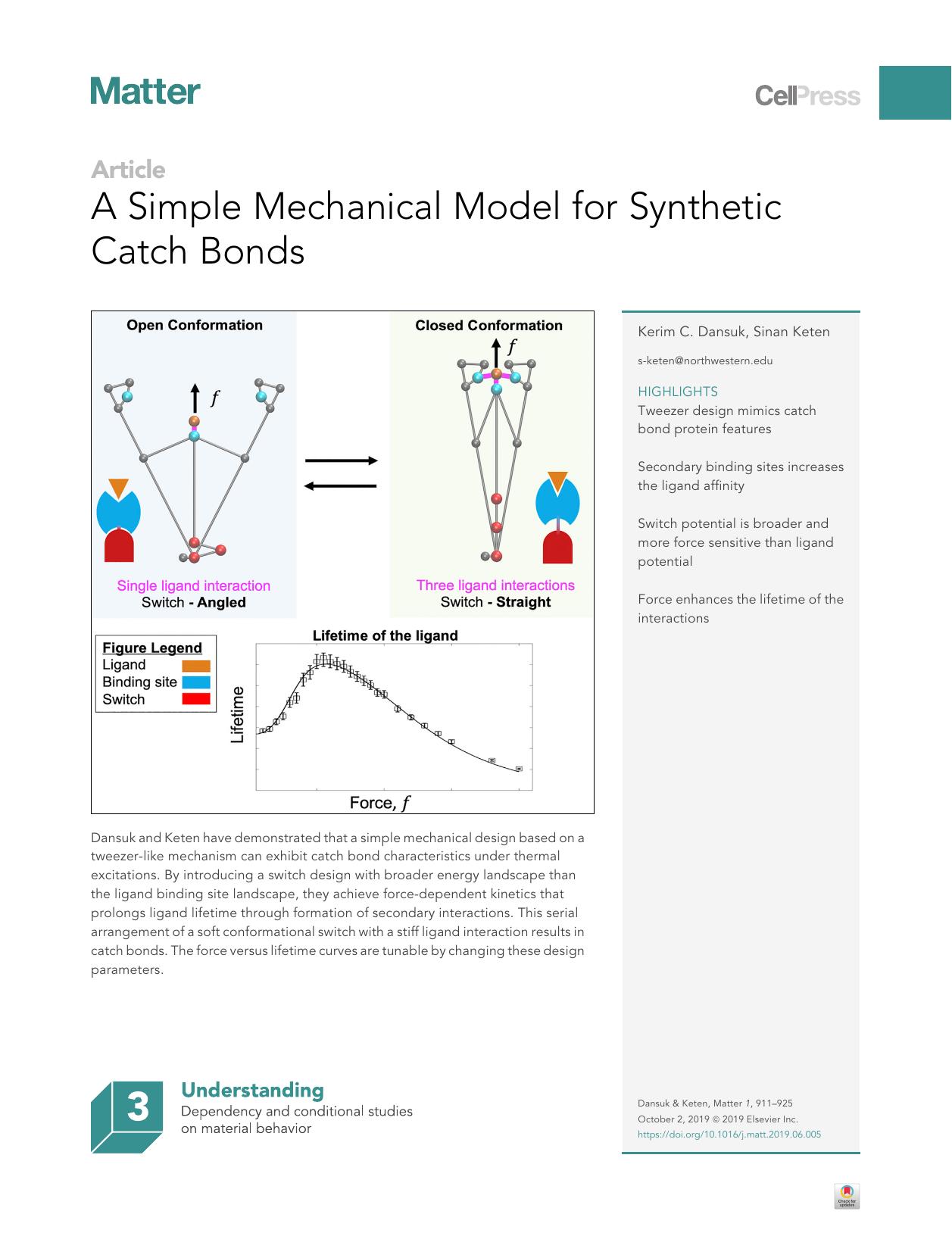 A Simple Mechanical Model for Synthetic Catch Bonds by Kerim C. Dansuk & Sinan Keten