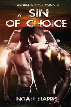 A Sin of Choice: A Gay Romance (Boundless Love Book 2) by Noah Harris
