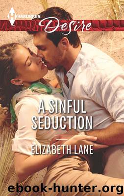 A Sinful Seduction by Elizabeth Lane