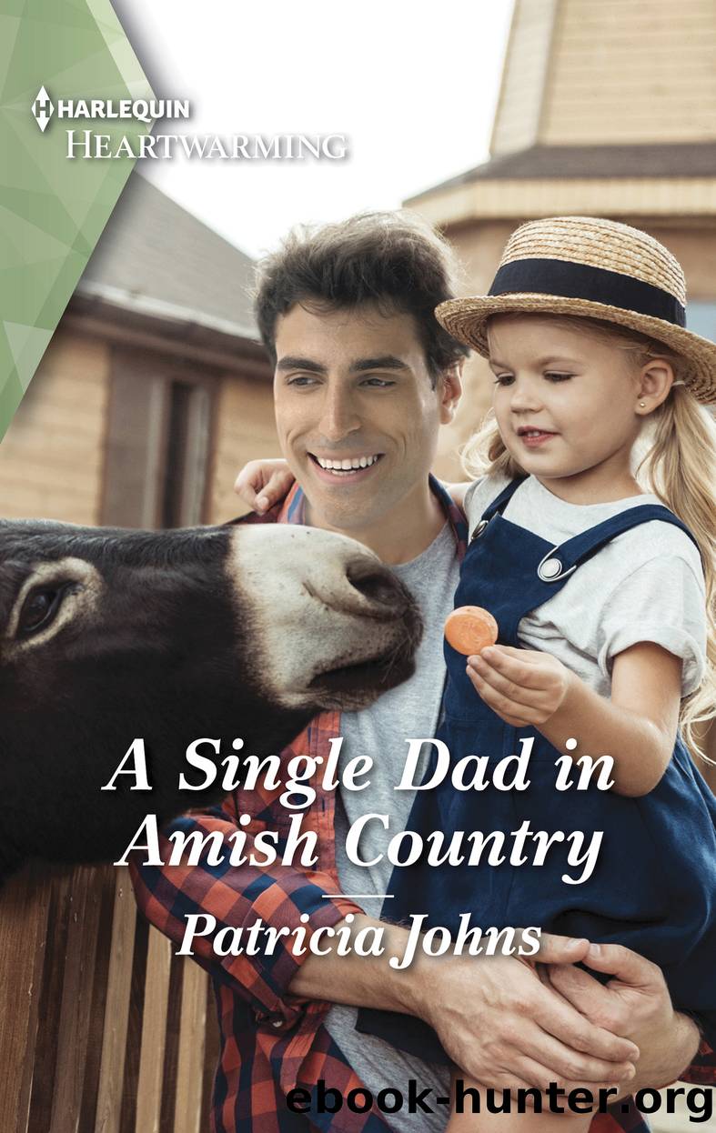 A Single Dad in Amish Country by Patricia Johns