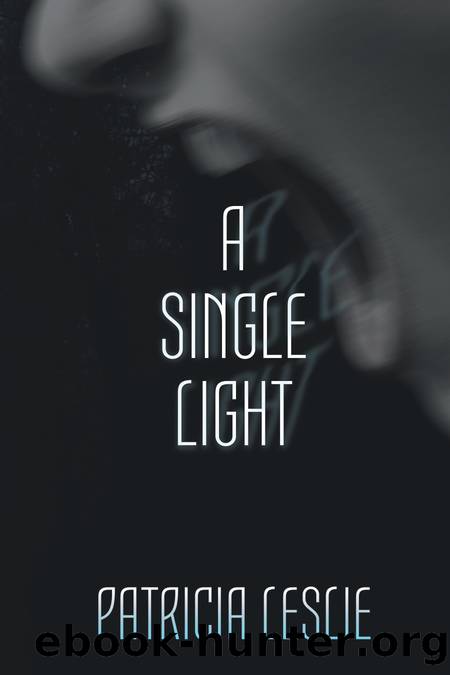 A Single Light by Patricia Leslie