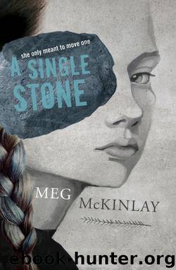 A Single Stone by Meg McKinlay