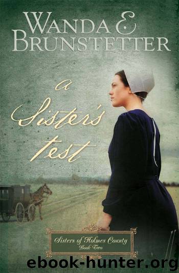 A Sister's Test by Wanda E. Brunstetter