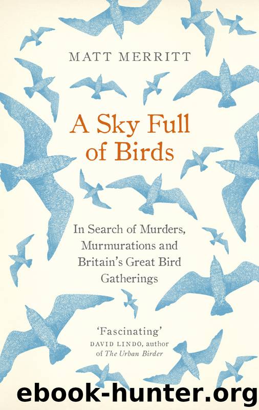 A Sky Full of Birds by Matt Merritt