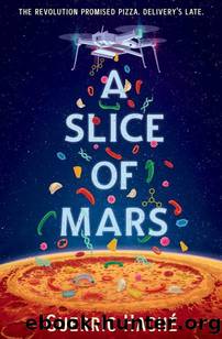 A Slice of Mars by Guerric Haché
