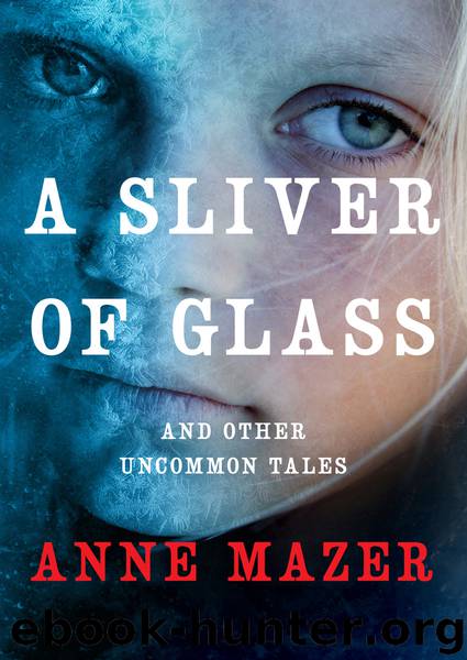 A Sliver of Glass by Anne Mazer
