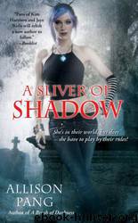 A Sliver of Shadow (AS 2) by Pang Allison