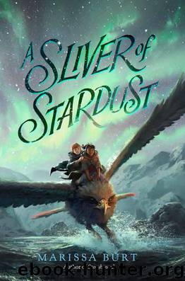 A Sliver of Stardust by Burt Marissa