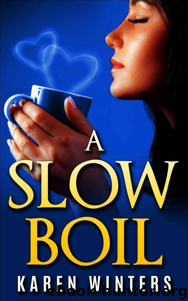 A Slow Boil by Karen Winters
