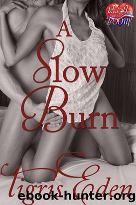 A Slow Burn by Tigris Eden