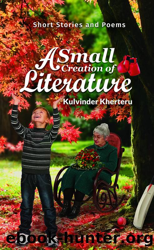 A Small Creation of Literature by Kherteru Kulvinder;