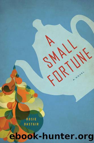A Small Fortune by Rosie Dastgir