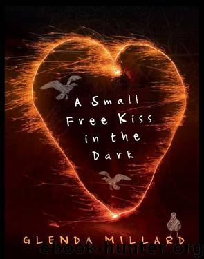A Small Free Kiss in the Dark by Glenda Millard