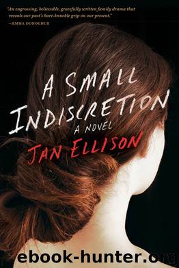 A Small Indiscretion by Jan Ellison