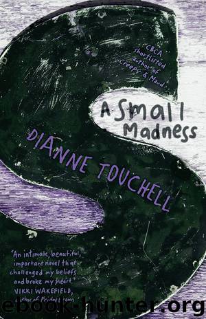 A Small Madness by Dianne Touchell
