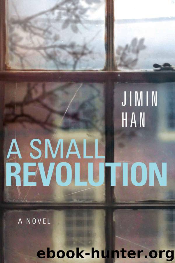 A Small Revolution by Han Jimin