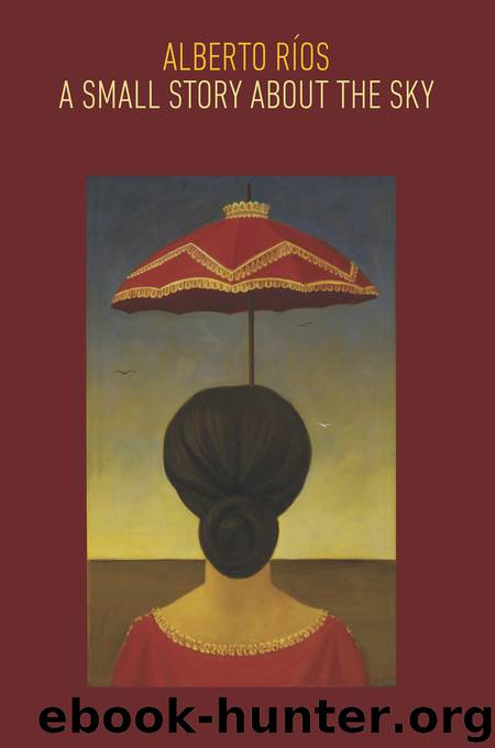 A Small Story about the Sky by Alberto Ríos