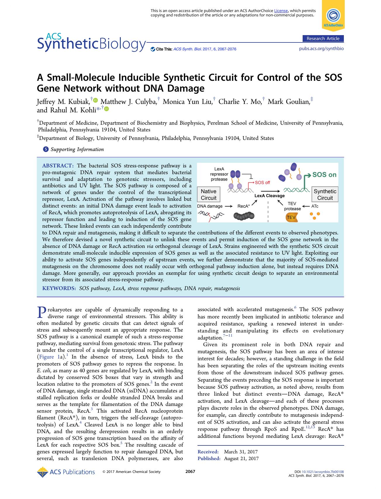 A Small-Molecule Inducible Synthetic Circuit for Control of the SOS Gene Network without DNA Damage by unknow