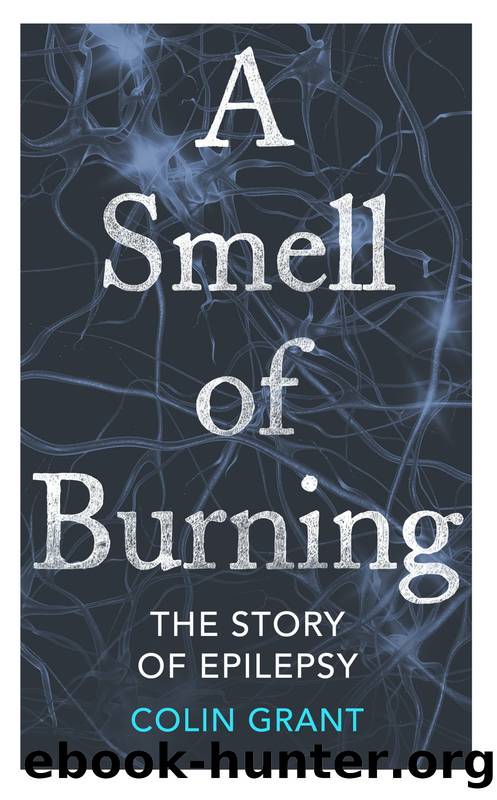 A Smell of Burning by Colin Grant